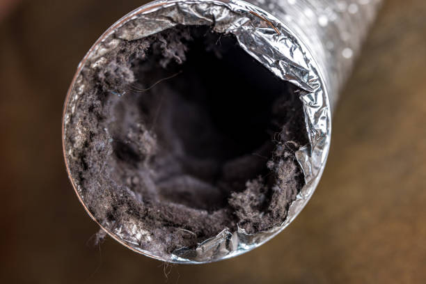 Best Air Duct Mold Removal  in St James, MO